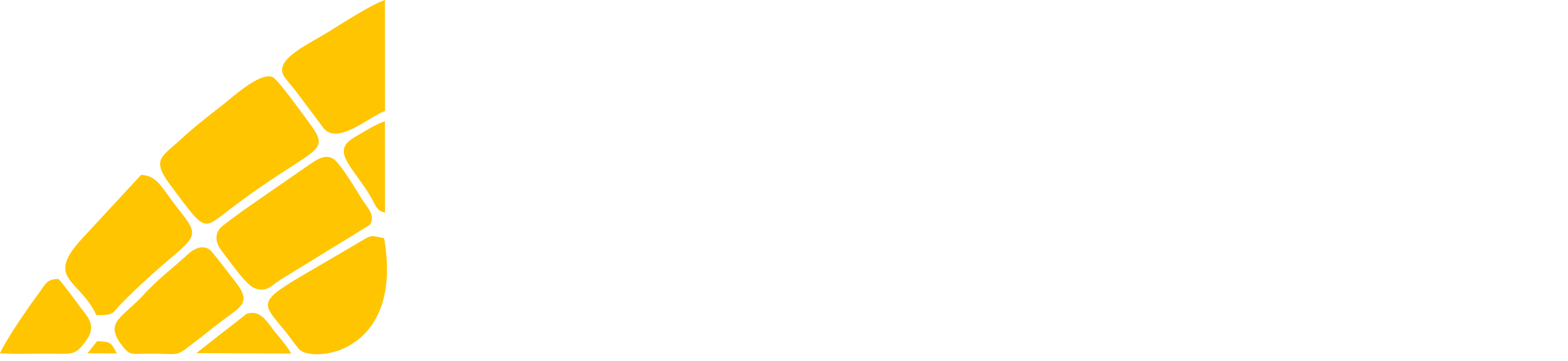 Nigeria Solar Forum